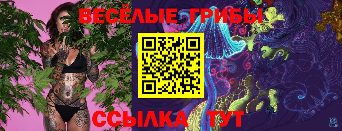что такое наркотик  Вход с VPN  Обнинск  Галлюциногенные грибы GOLDEN TEACHER 